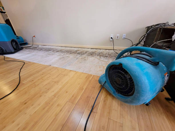 Professional Burst Pipe Water Damage technician working in Temple, TX
